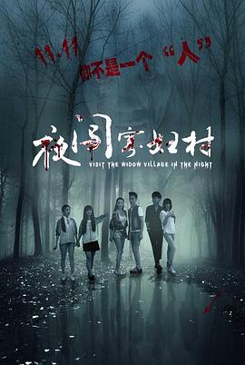 夜闯寡妇村HD国语