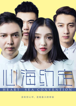 心海约定HD国语