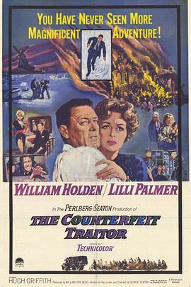 伪叛国者HD中字