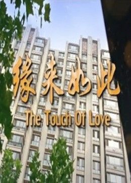 缘来如此2017HD国语