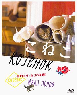 小猫虎子HD中字