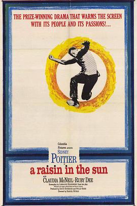 阳光下的葡萄干HD中字