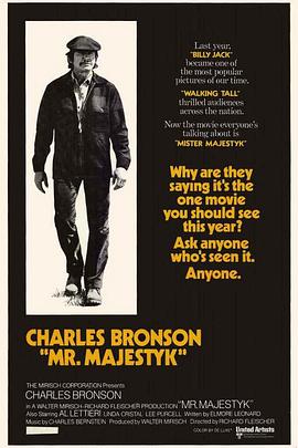 猛龙铁金刚HD中字