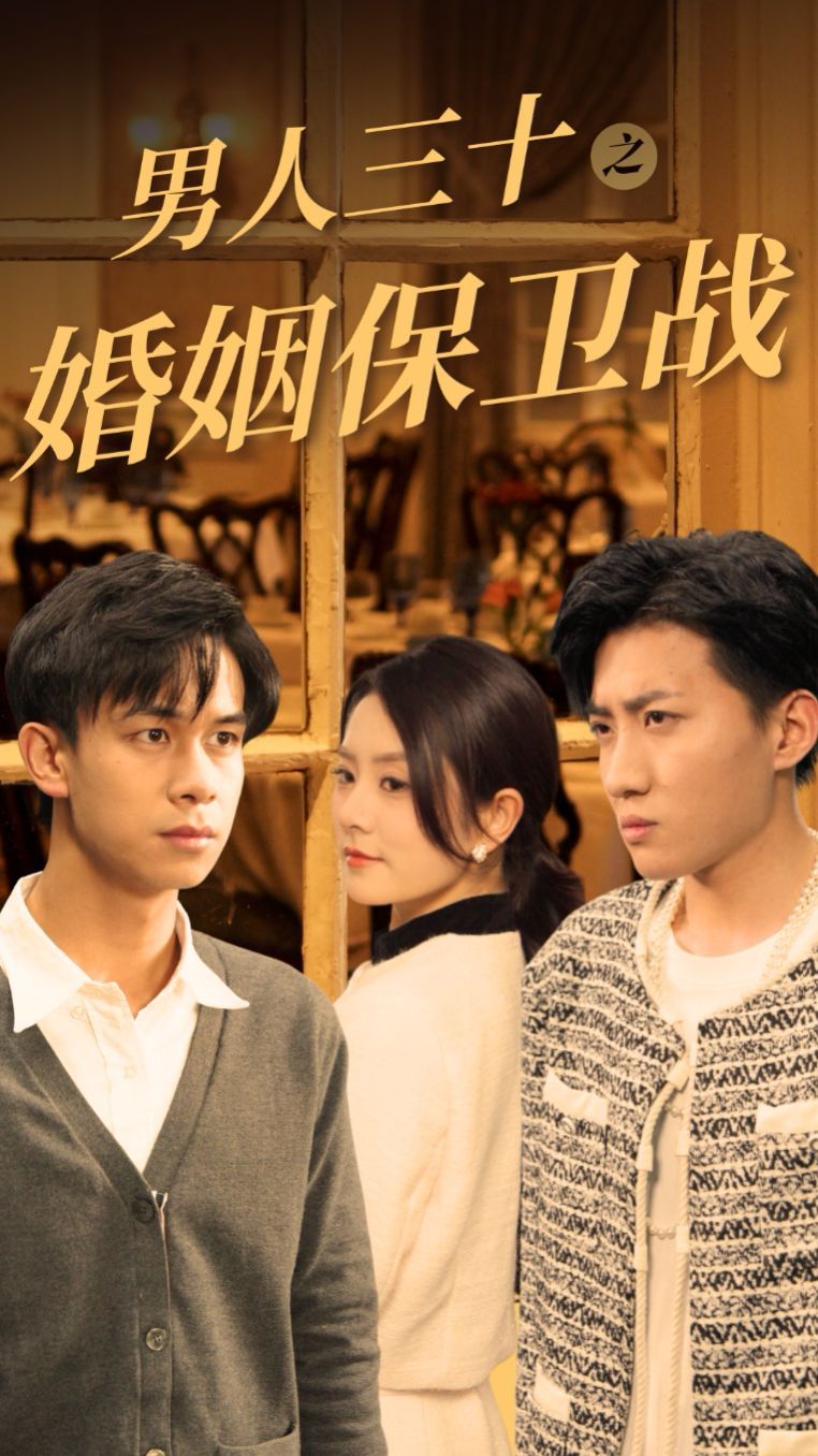 男人三十之婚姻保卫战第1-20集