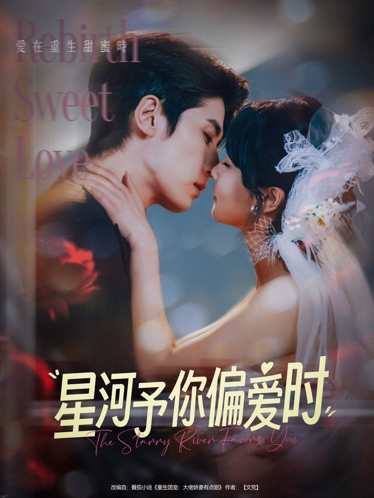 星河予你偏爱时第1-30集