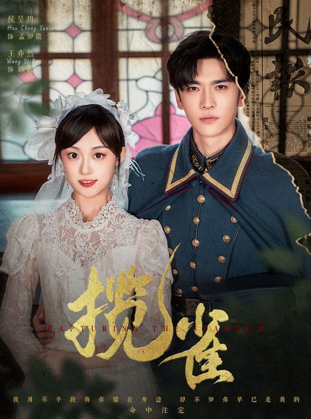 揽雀第31-61集完结(大结局)