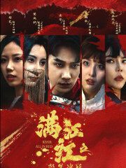 满江红之怒发冲冠第61-75集完结(大结局)