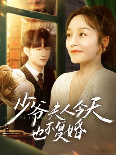 少爷夫人今天也不复婚第21-40集