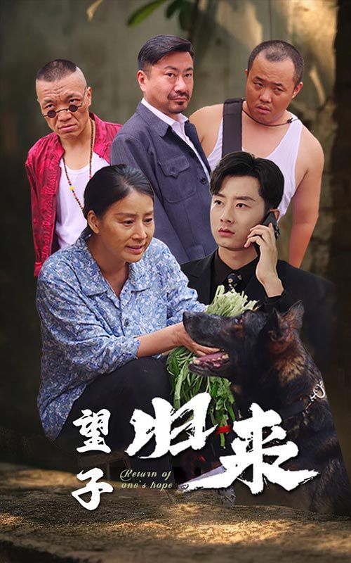 望子归来全集完结(大结局)