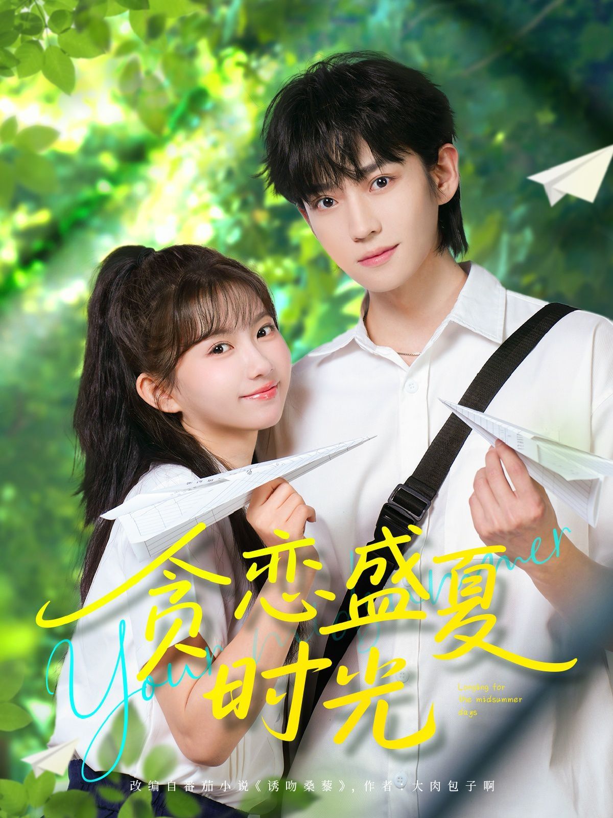 贪恋盛夏时光第1-30集