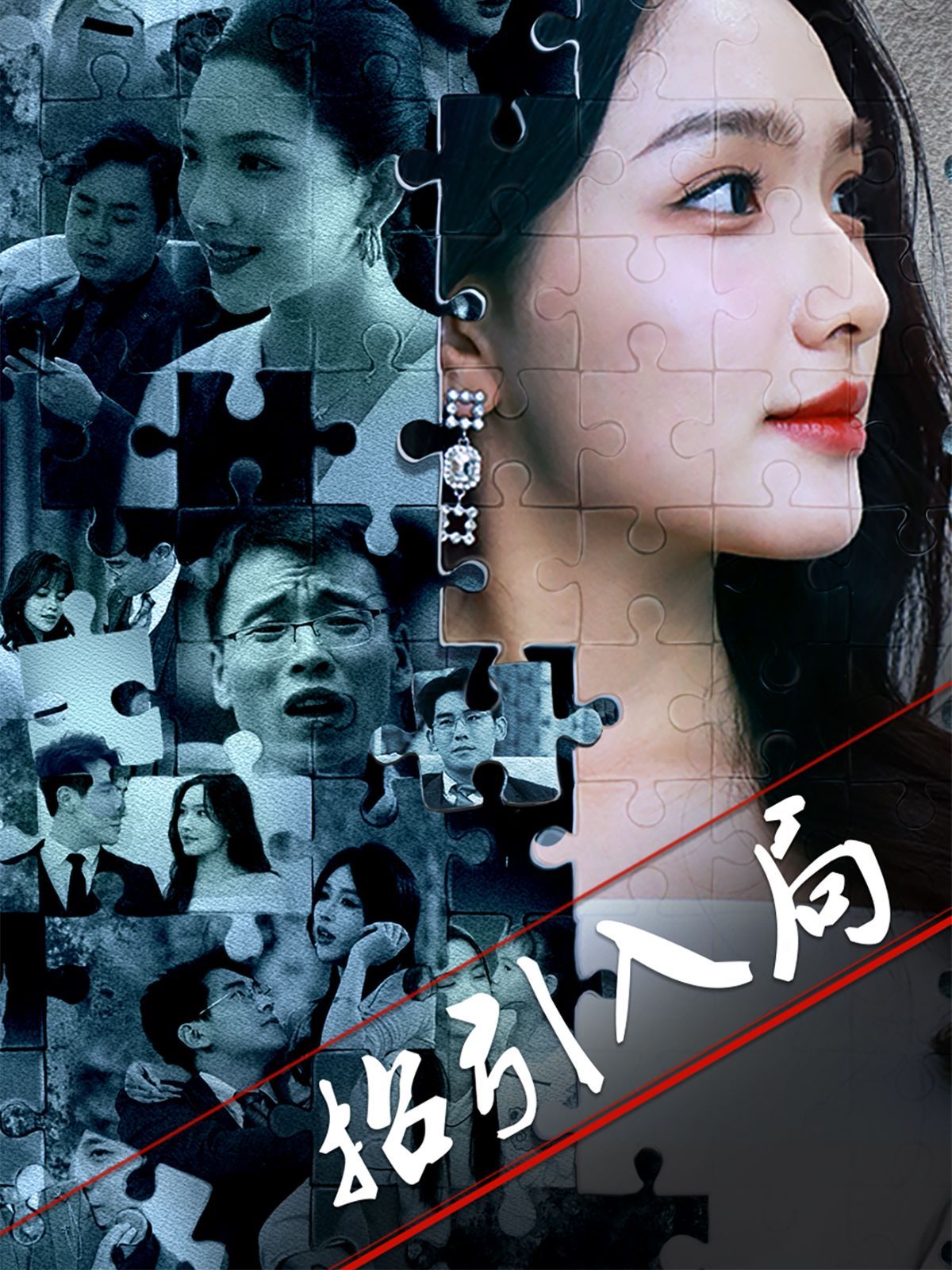 招引入局第1-30集