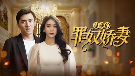 总裁的罪奴娇妻第21-40集