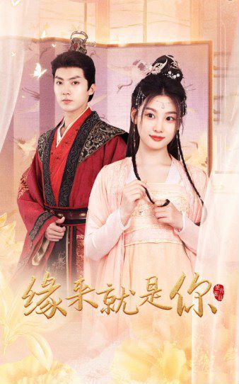 缘来就是你第21-40集