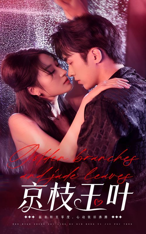 京枝玉叶第1-20集