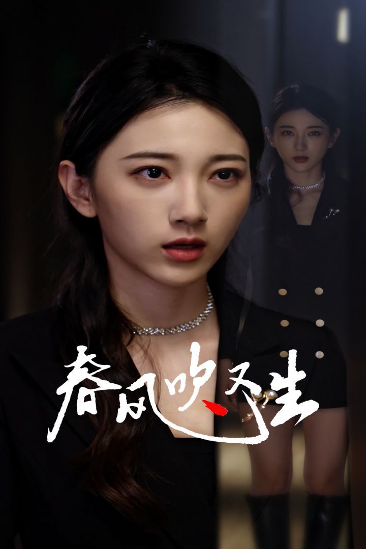 新版：春风吹又生第1-20集