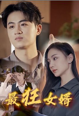 最狂女婿第1-20集