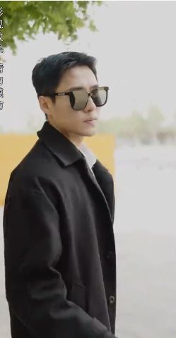 我成了失忆霸总的心尖宠第1-20集