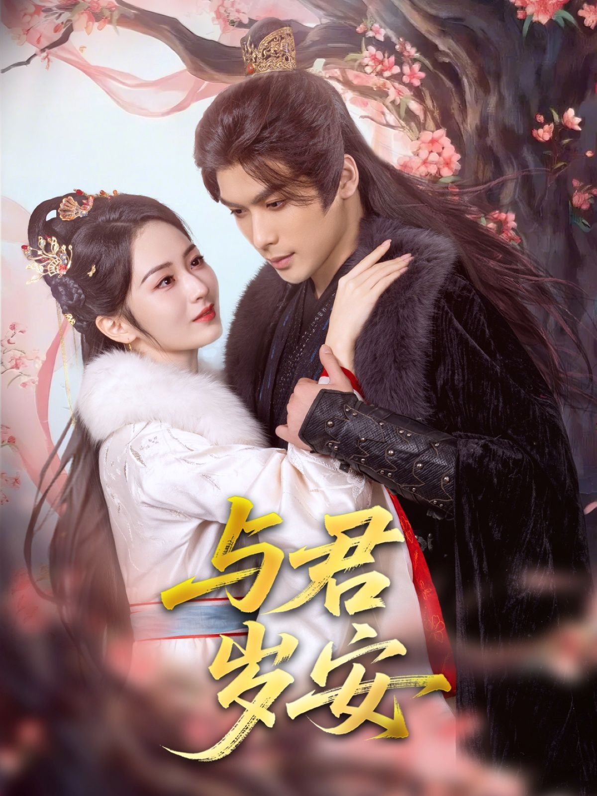 与君岁安第1-20集