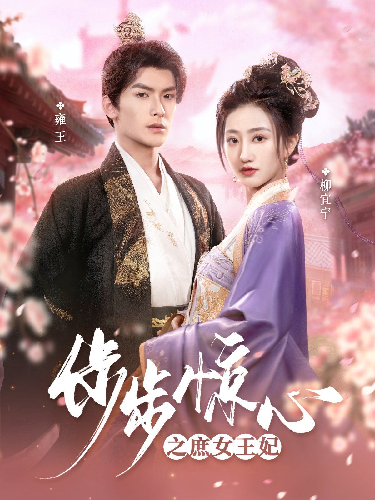 步步惊心之庶女王妃第1-20集