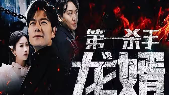 第一杀手龙婿第1-20集