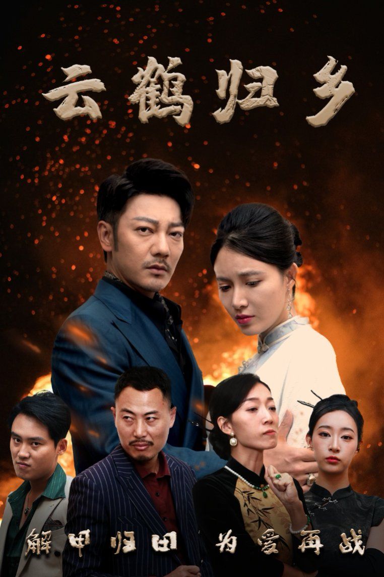 云鹤归乡第1-20集