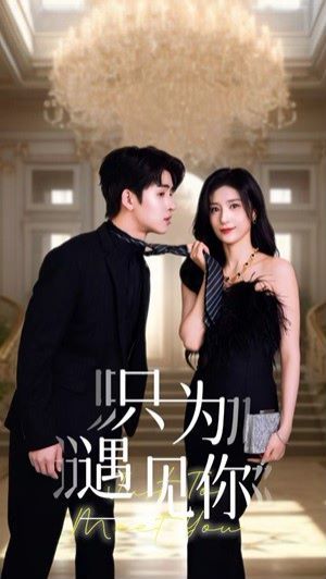 只为遇见你第21-40集