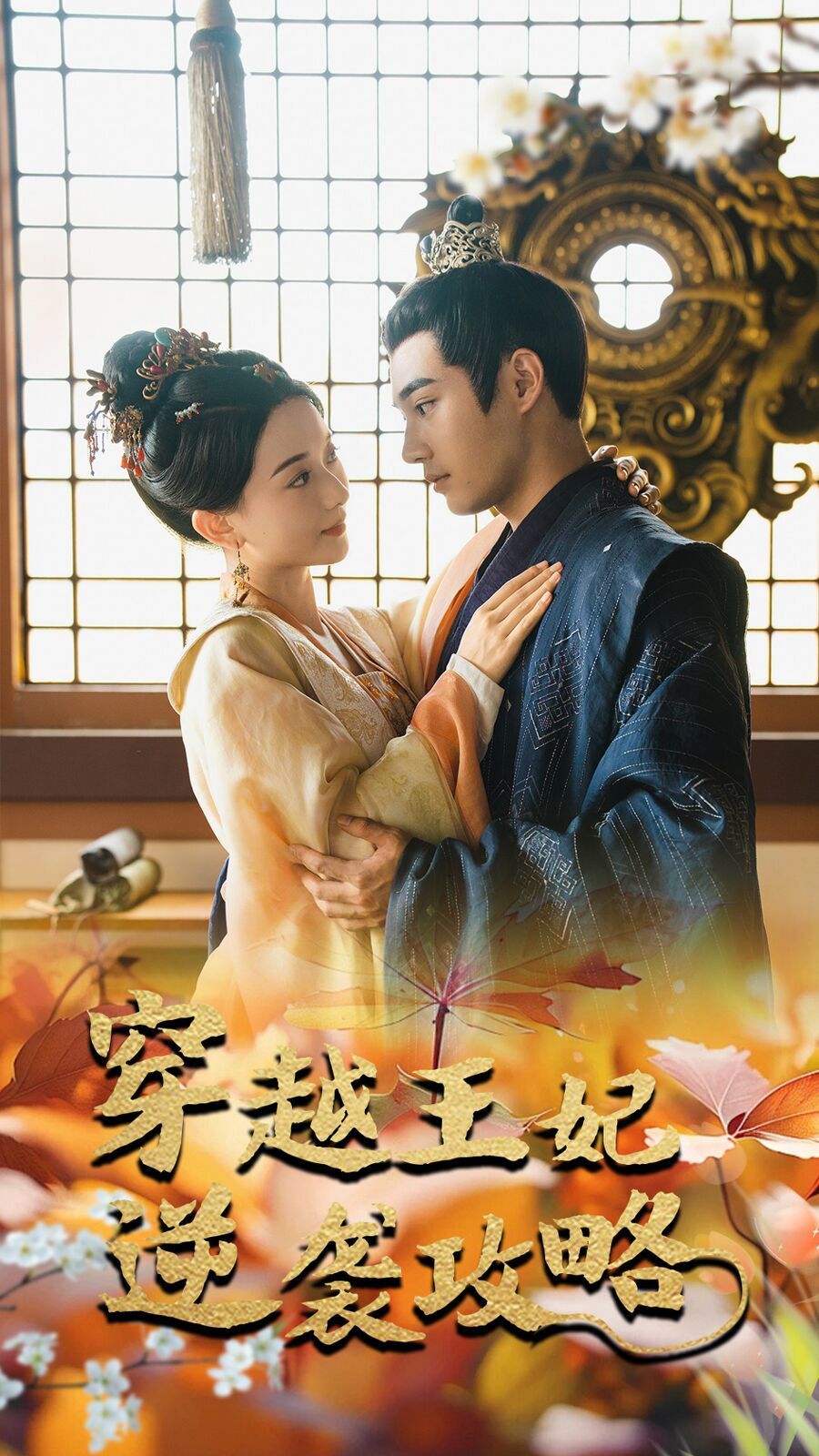 穿越王妃逆袭攻略第1-20集