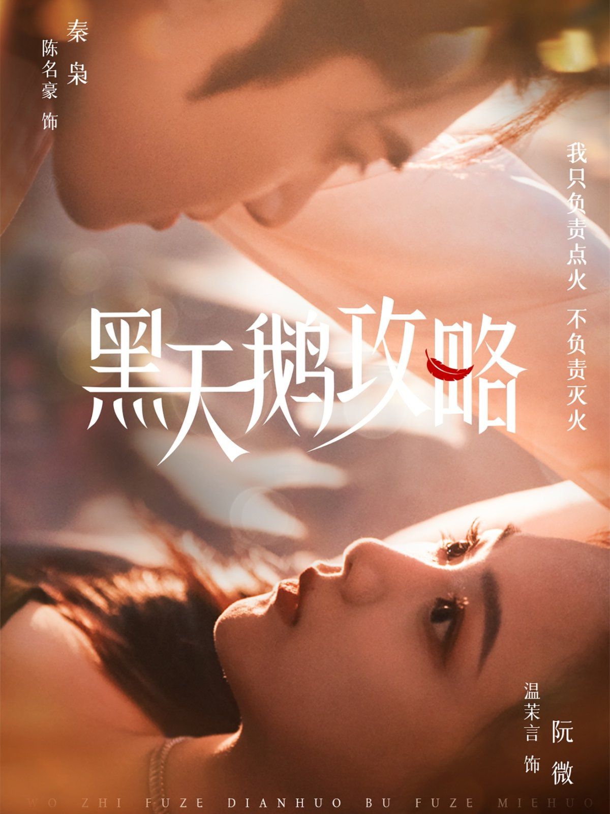 黑天鹅攻略全集完结(大结局)