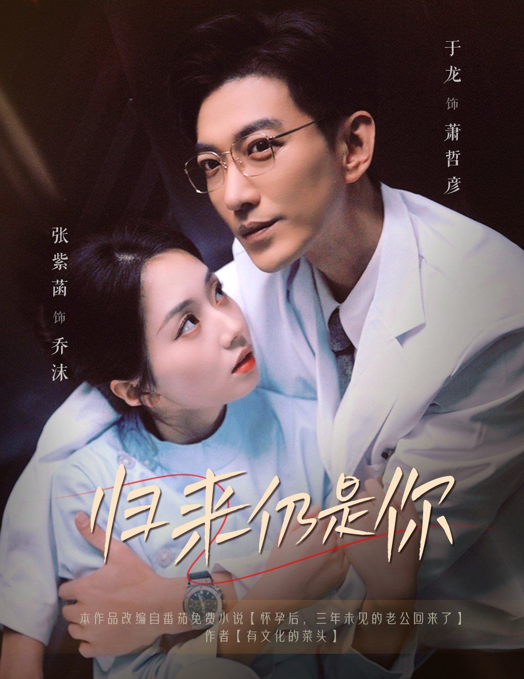 归来仍是你第1-20集