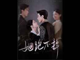 她跑不掉第1-20集