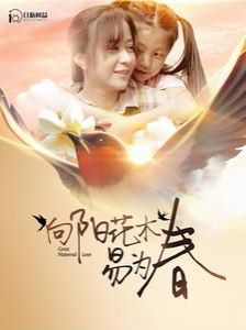 向阳花木易为春第1-20集
