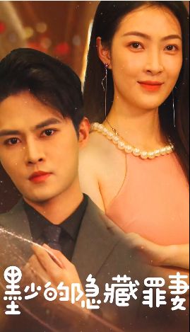 墨少的隐藏罪妻第21-40集