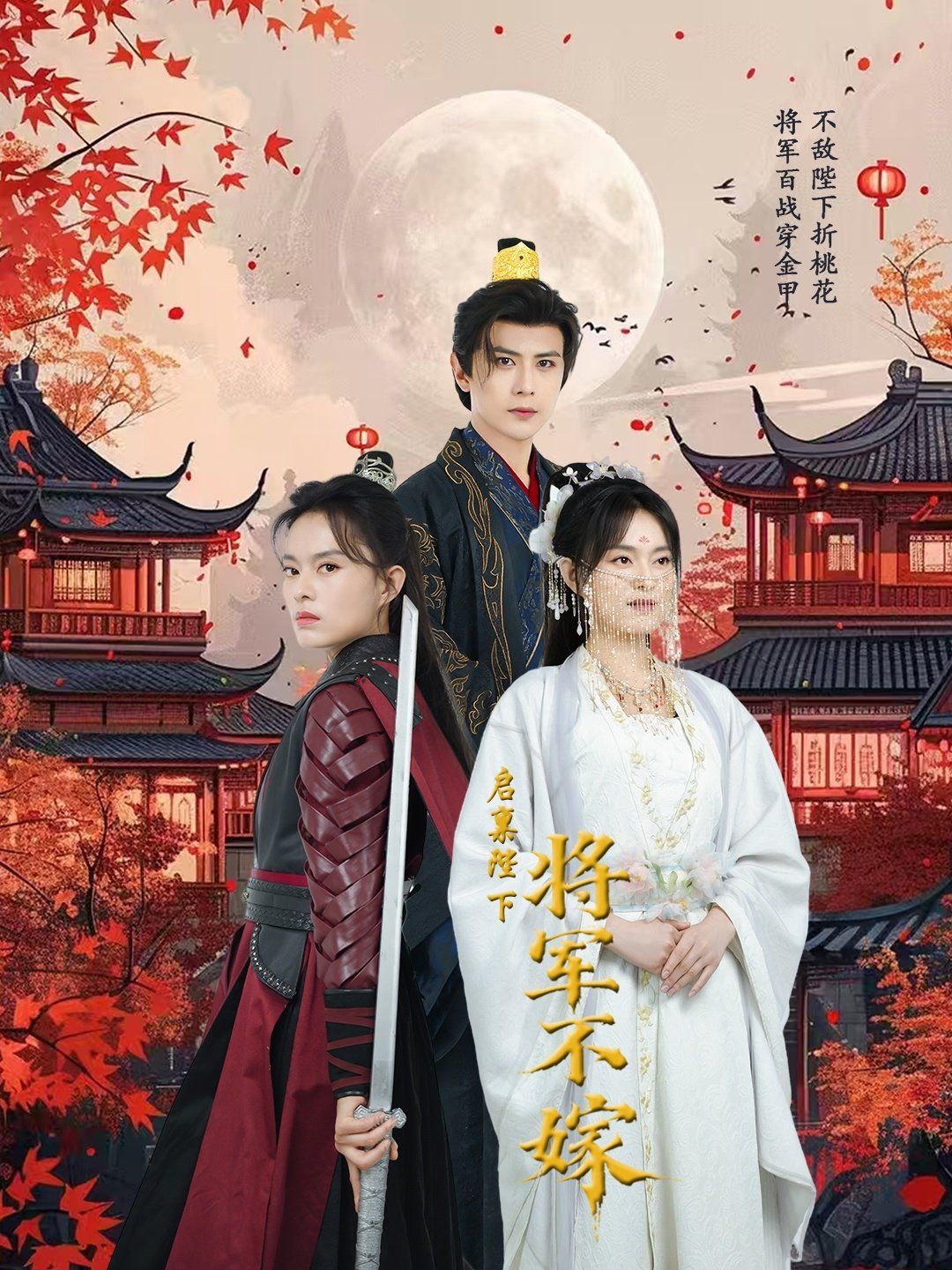 启禀陛下将军不嫁第1-30集