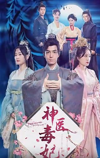 神医毒妃第1-20集