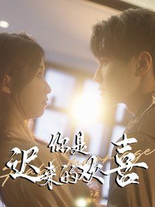 你是迟来的欢喜2025第1-20集