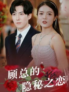 顾总的隐秘之恋第1-20集