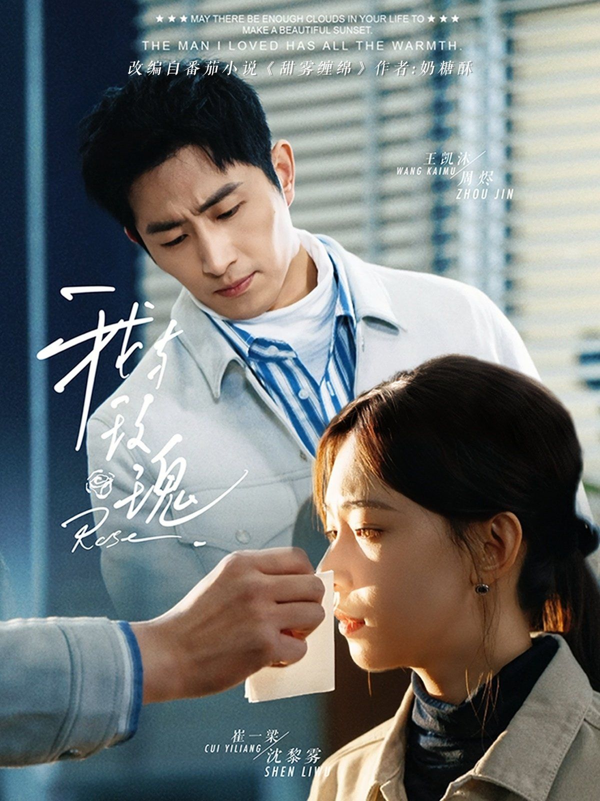 我与玫瑰第1-30集