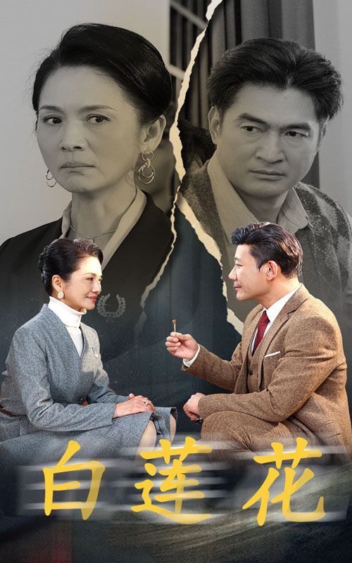 白莲花第1-20集