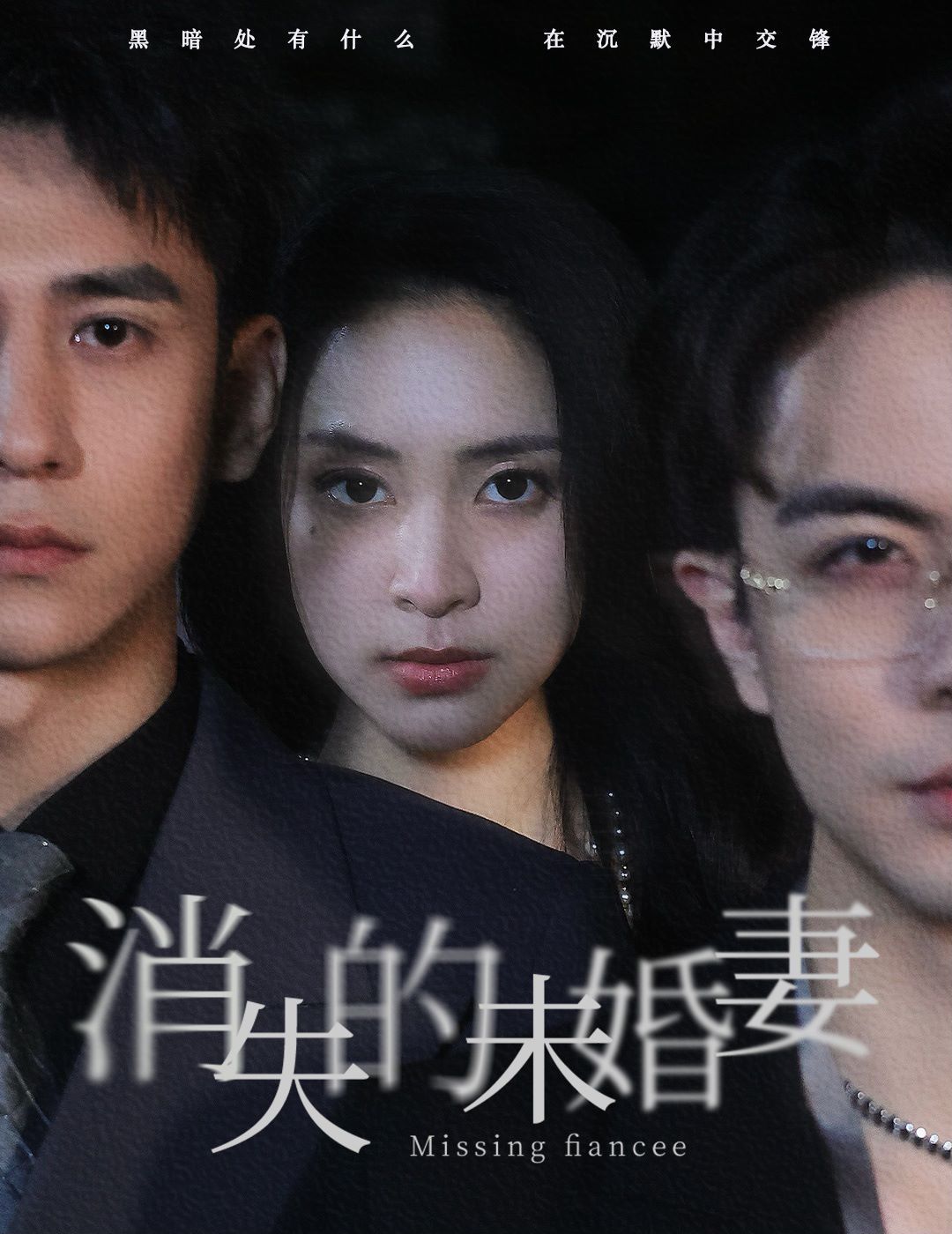 消失的未婚妻第21-40集