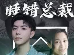 睡错总裁狂宠妻第1-20集