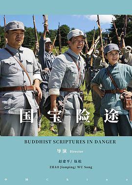 国宝险途正片