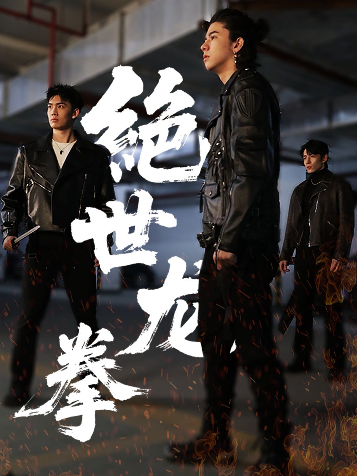 绝世龙拳第1-20集