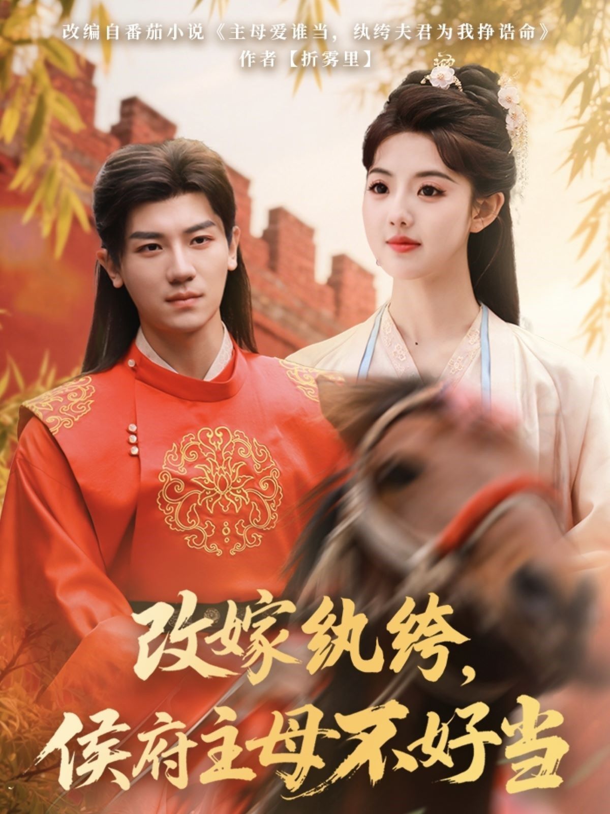 改嫁纨绔侯府主母不好当第1-20集