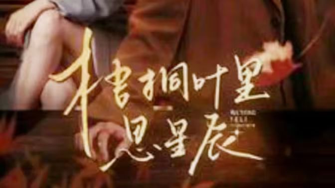 梧桐叶里思星辰第21-40集