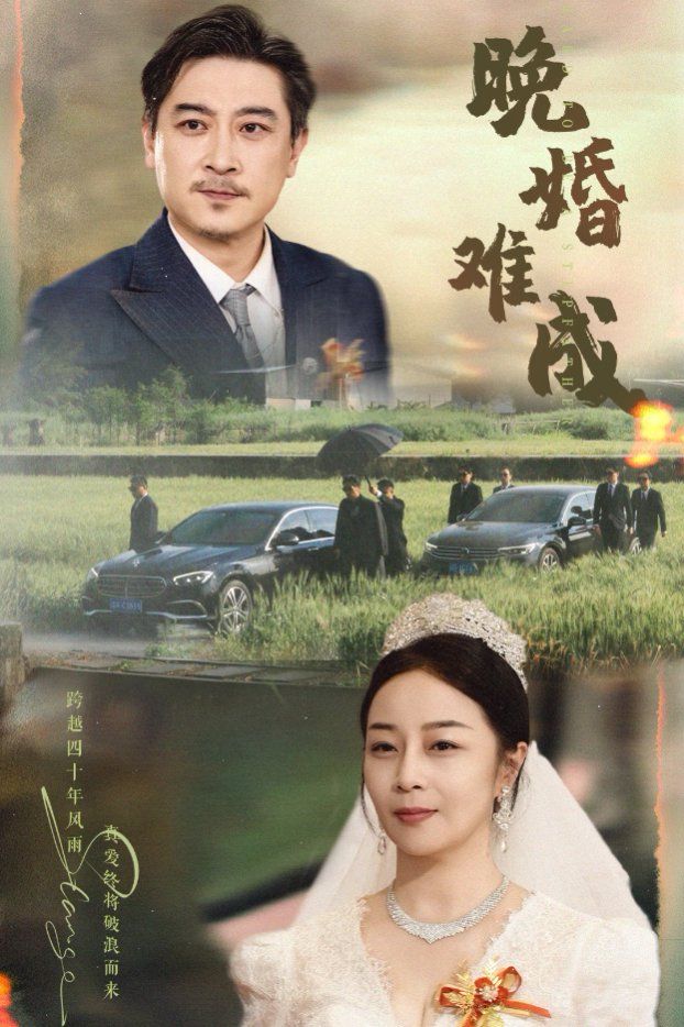 晚婚难成第1-30集