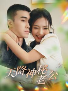 天降神秘老公第1-20集