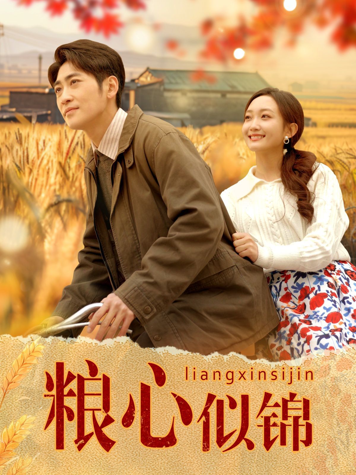 粮心似锦第1-30集