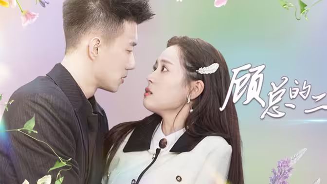 顾总的二婚娇妻第41-60集