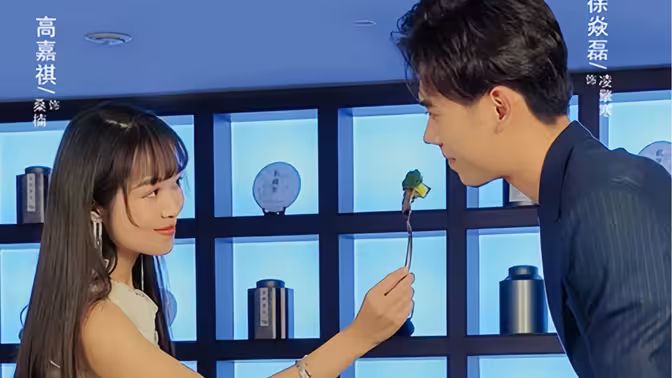 凌总别虐了桑小姐又吐了第1-30集