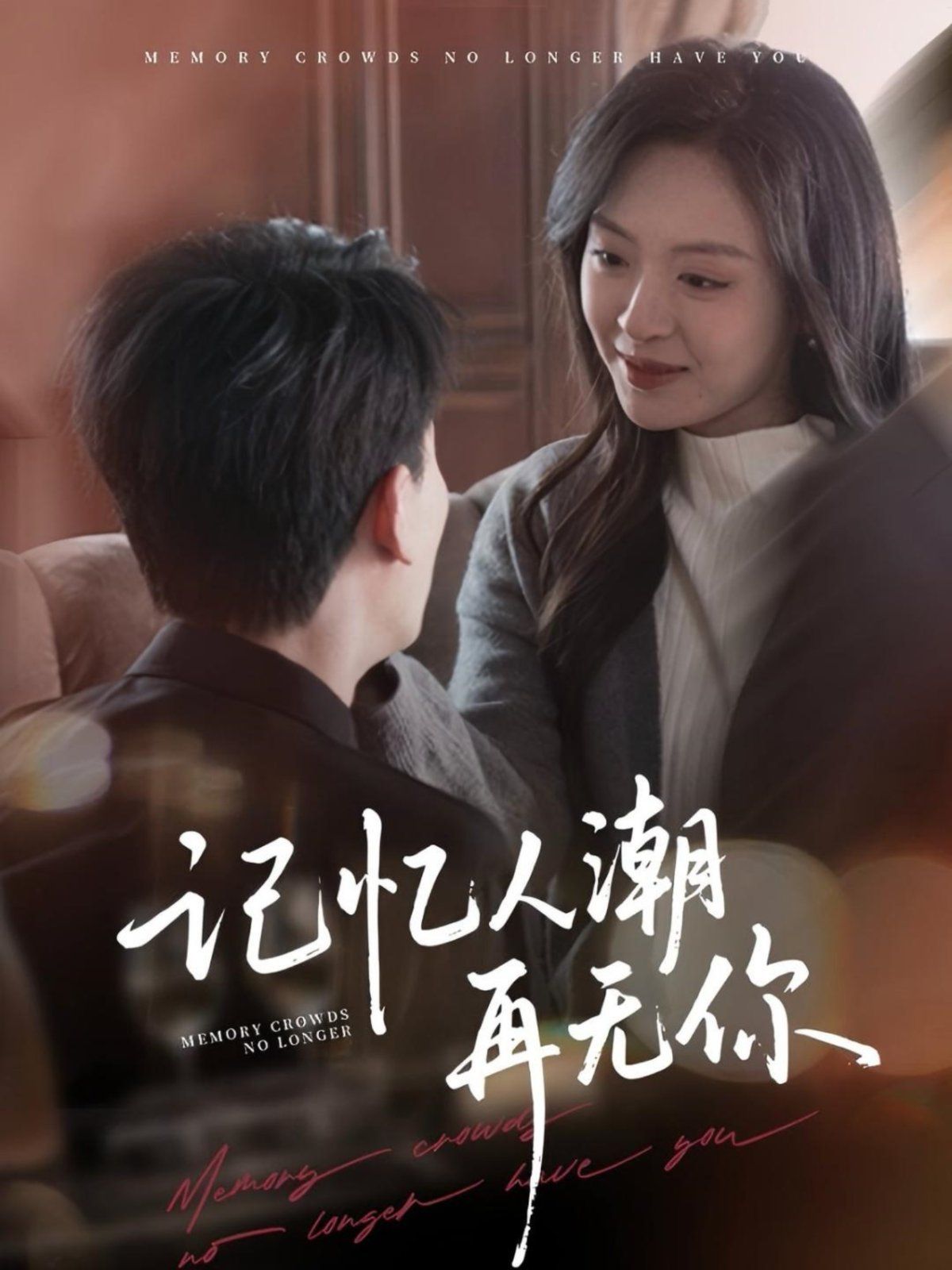 记忆人潮再无你第31-60集